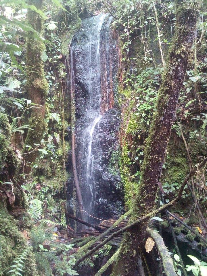 waterfalls forest walk Alquimia Portugal