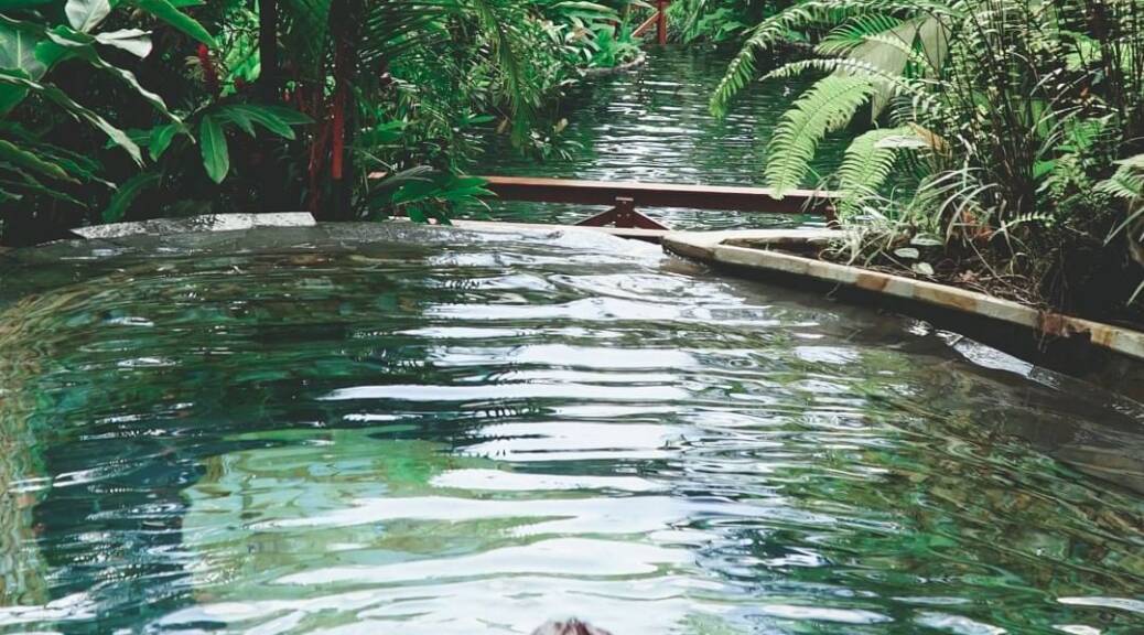 alquimia courses costa rica