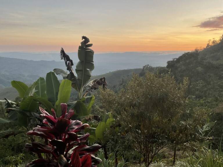 alquimia psychosomatic training room view