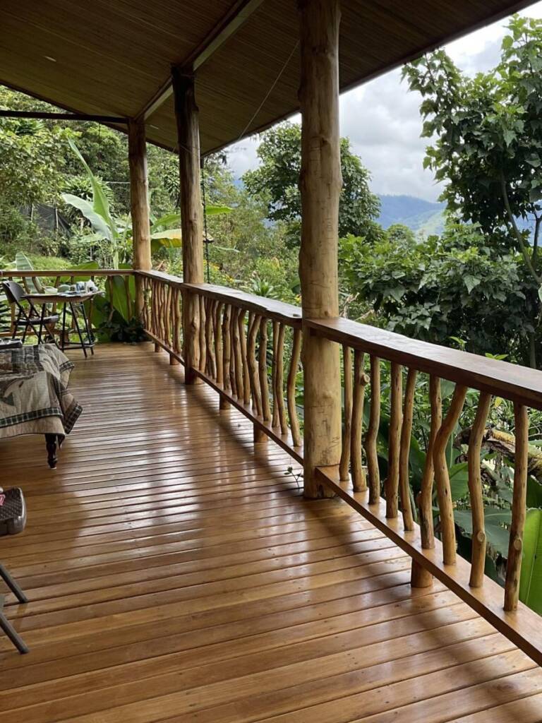 alquimia psychosomatic training terrace