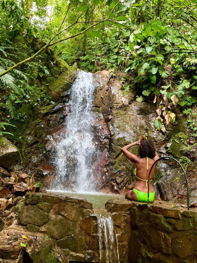 alquimia psychosomatic training waterfall