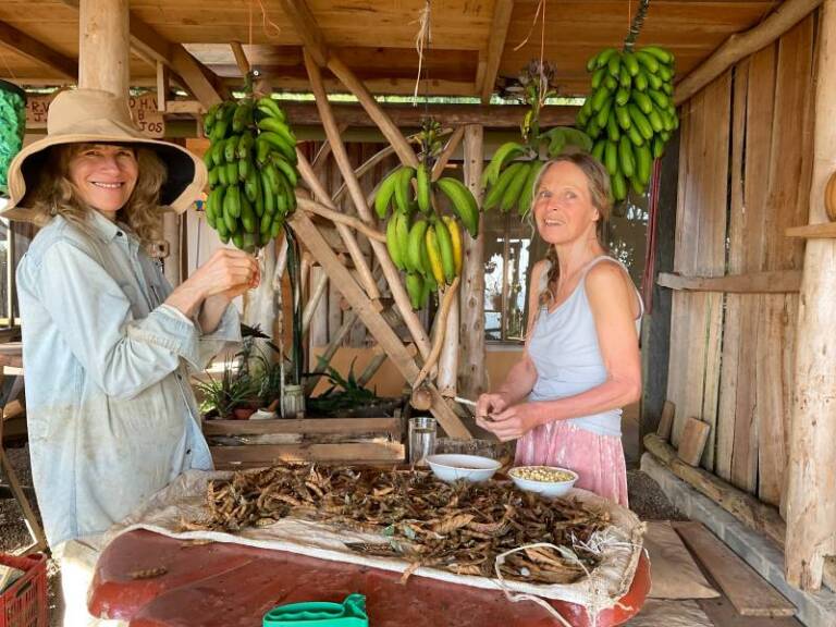 retreat foraging costa rica