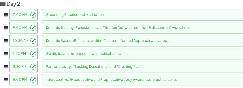 somatic therapy program