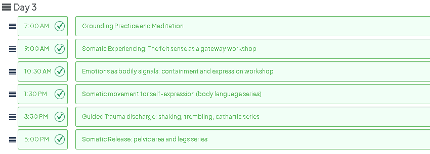 somatic therapy program