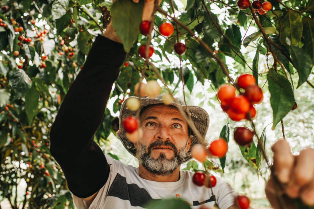 somatic training costa rica