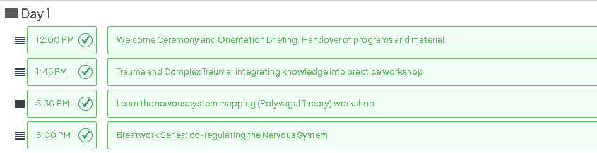 somatic therapy program