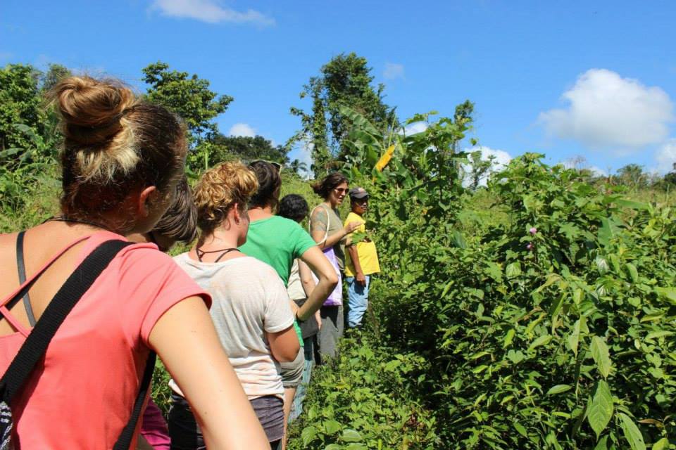 students foraging in the wild at Alquimia Herbalism School